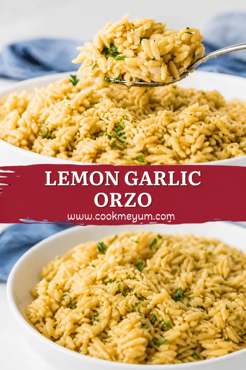 Lemon Garlic Orzo – Light and Perfect for Summer