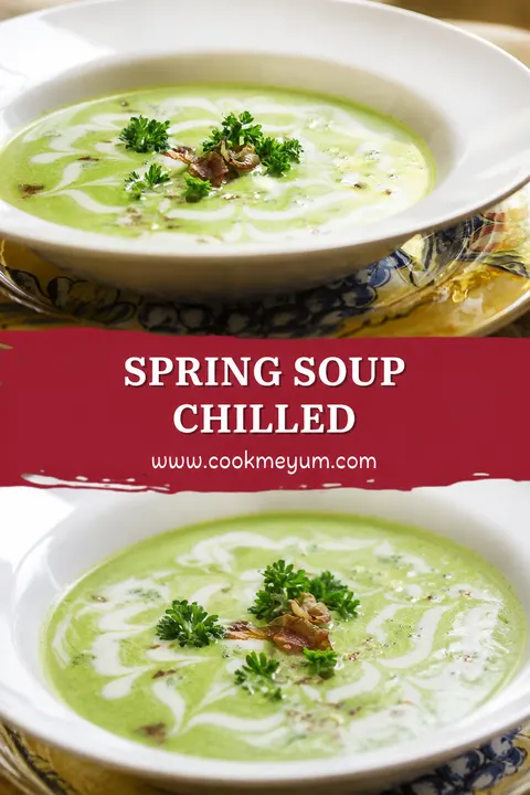 Spring Soup Chilled – Refreshing and Dairy-Free