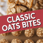 Classic Oats Bites