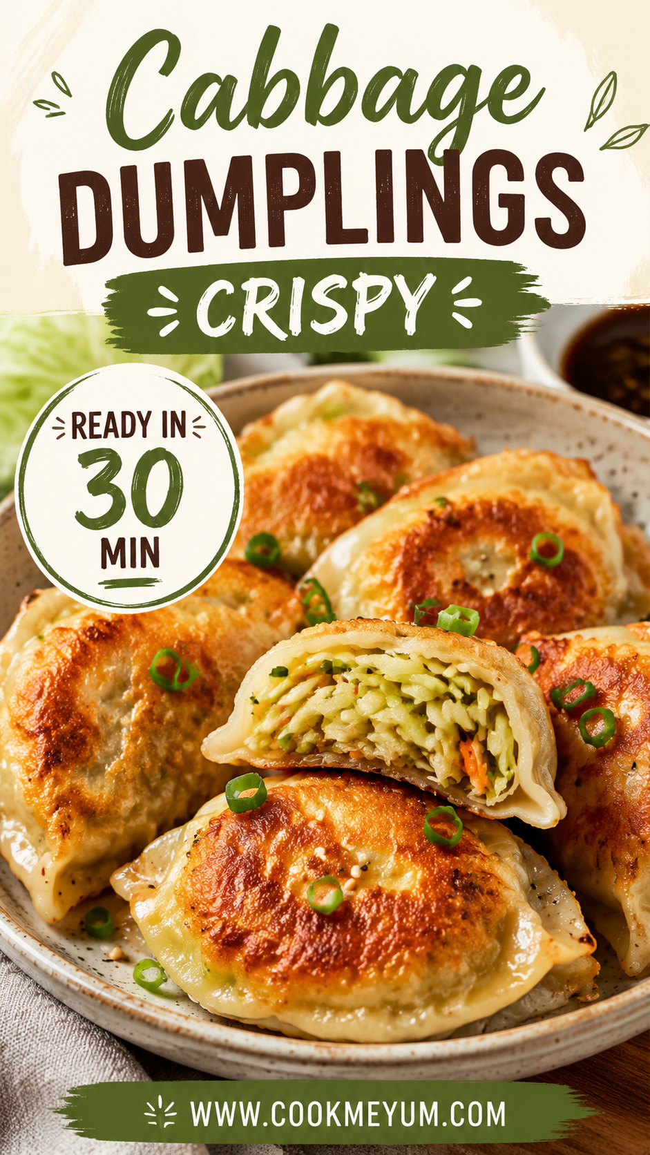 Cabbage Dumplings Crispy – Ready in 30 Min